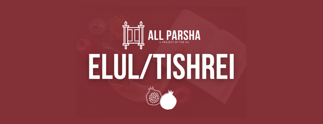 NEW! All Parsha Elul/Tishrei 5782