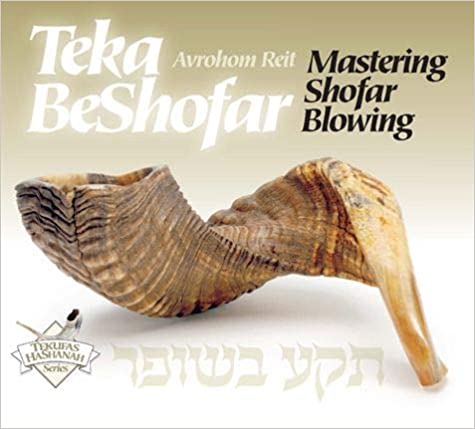 All Daf Exclusive: In-Depth Look Into Shofar