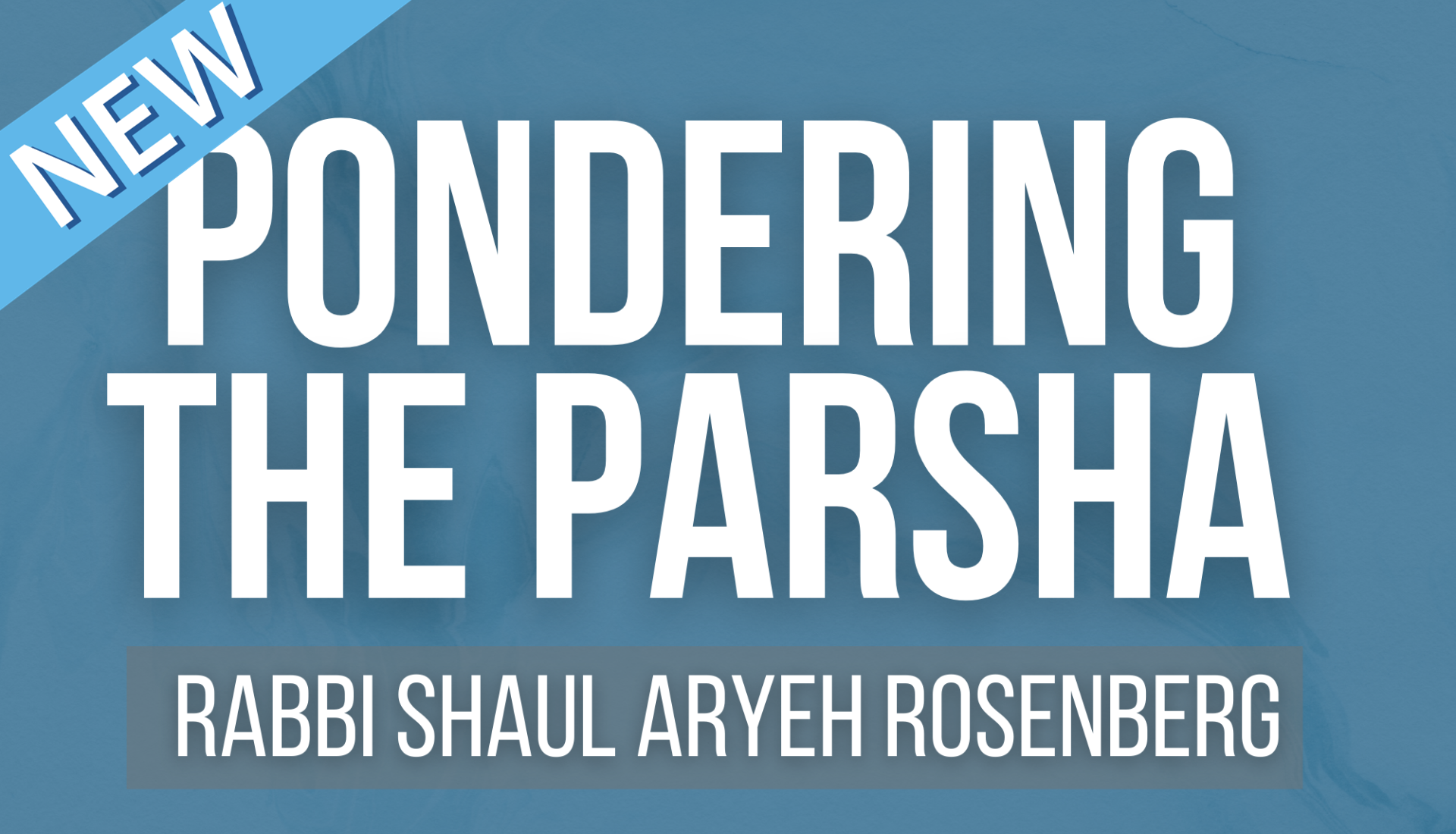 NEW! Pondering The Parsha