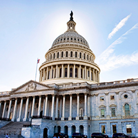 LIAT Fellowship Applications Now Open!