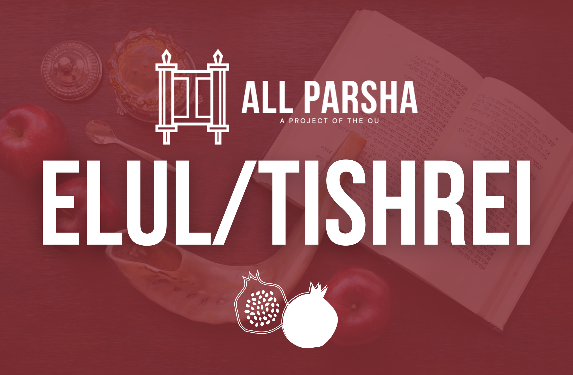 Special Elul/Tishrei All Parsha Content