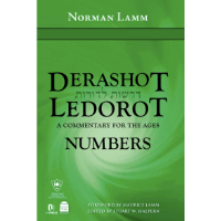 Derashot Ledorot: A Commentary for the Ages – Numbers