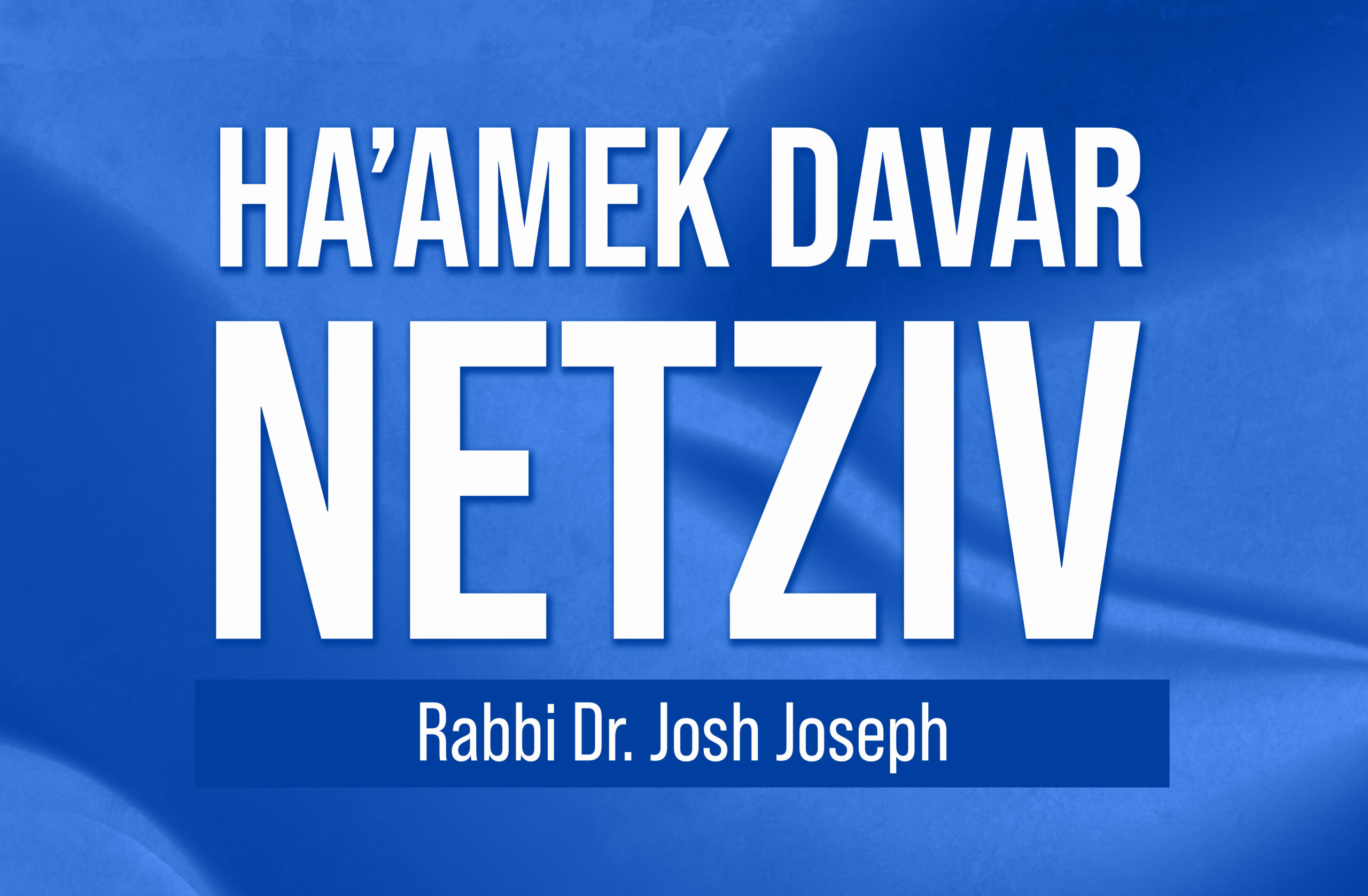 NEW! Ha'amek Davar - Netziv by Rabbi Dr. Josh Joseph