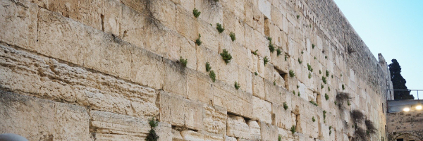 The Special Significance of Yerushalayim 