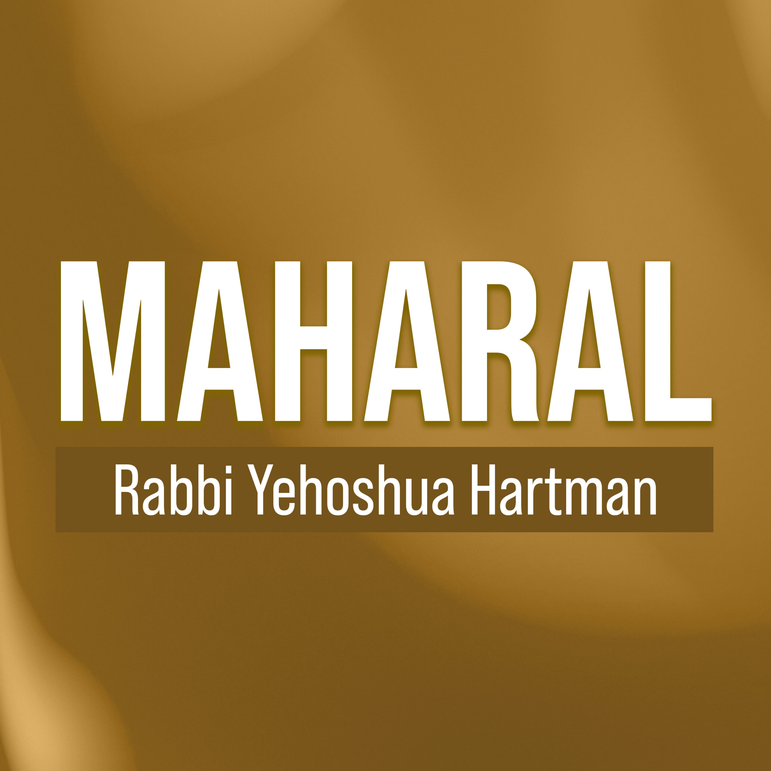 Rabbi Hartman What Do You Know About Rav Ula bar Abba