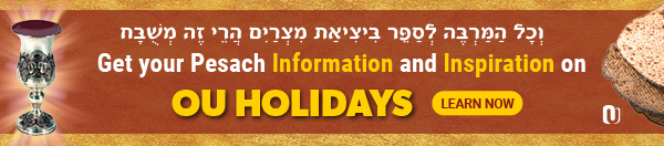 Get Your Pesach Information and Inspiration