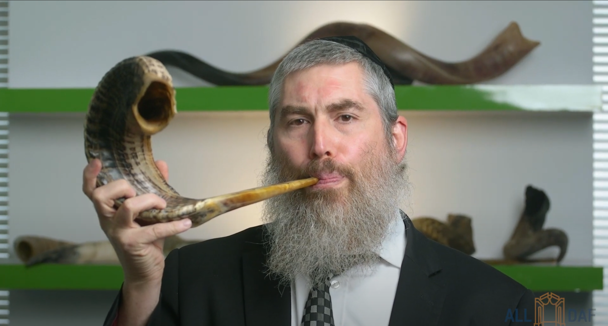 Rosh Hashanah Illuminated: Rabbi Avrohom Reit