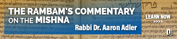 The Rambam's Commentary on the Mishna 