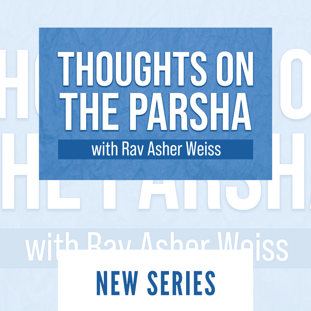 New to All Parsha 