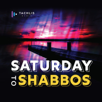Saturday to Shabbos—50th Episode!