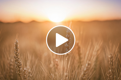 Ever wonder what Tu B'Av is all about? Watch as Rabbi Ezra Sarna, Director of Halacha & Torah Initiatives, unpacks the origins and meaning of this unique day.