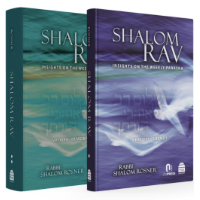 Shalom Rav Set