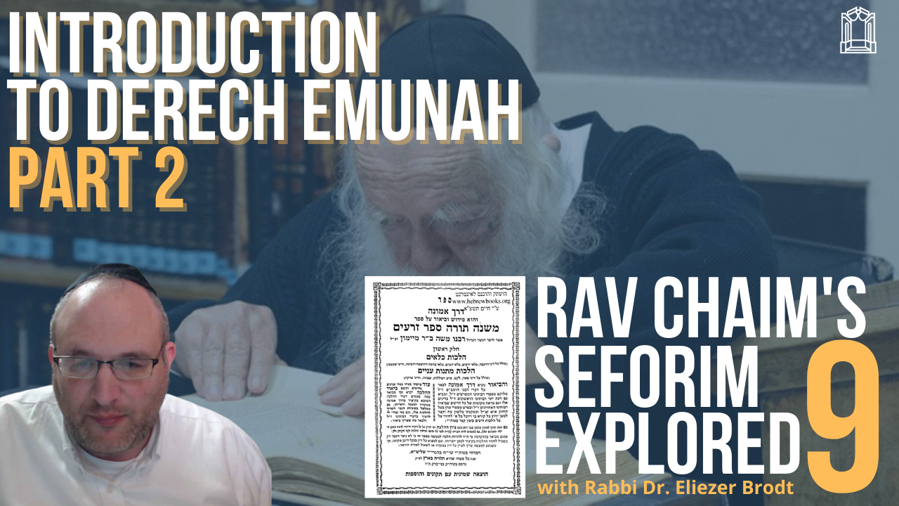 NEW! Introduction To Derech Emunah (2) - Rav Chaim's Seforim Explored (Part XI)