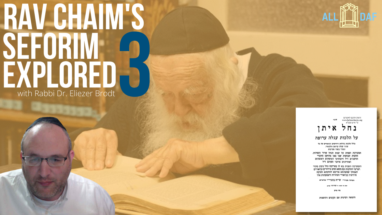 Just Released: Rav Chaim's Seforim Explored (Part 3)