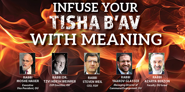 Infuse Your Tisha bAv With Meaning