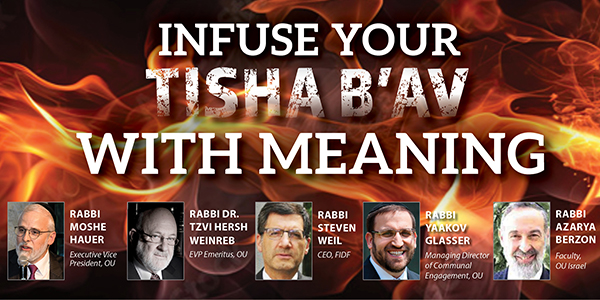 Infuse Your Tisha bAv With Meaning