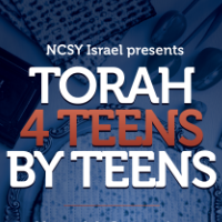 Download the Torah 4 Teens by Teens Haggadah Companion