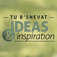 Interactive Tu B'Shvat Ideas and Inspiration