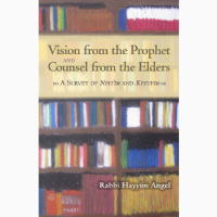 Vision from the Prophet and Counsel from the Elders: A Survey of Nevi'im and Ketuvim