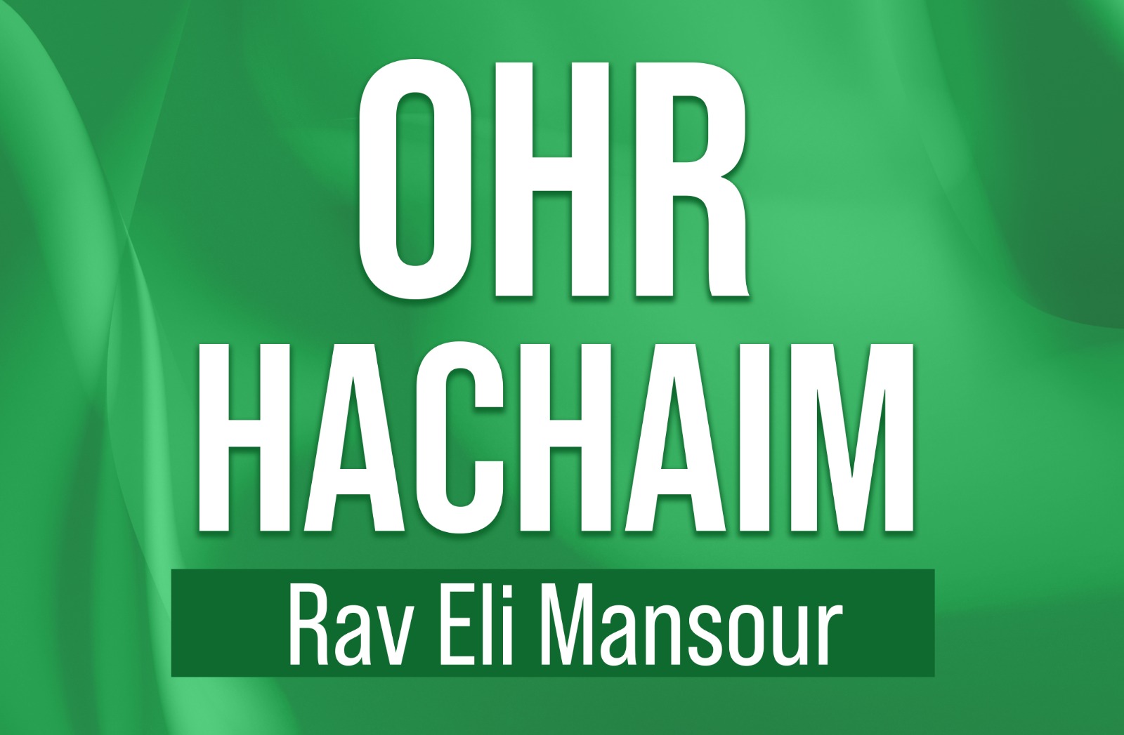 NEW! Ohr HaChaim by Rav Eli Mansour