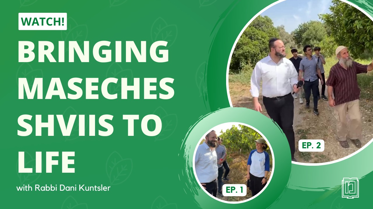 Episode 1: Rabbi Dani Kunstler visits shmittah observant farmers, Doron & Ilana Towig