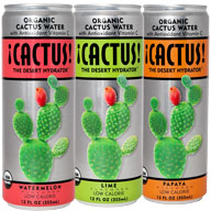 Featured Company: ¡CACTUS!