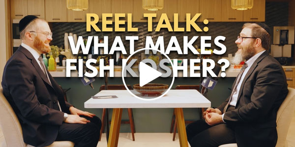 Reel Talk: What Makes Fish Kosher?