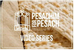 Exclusive Pesach Content