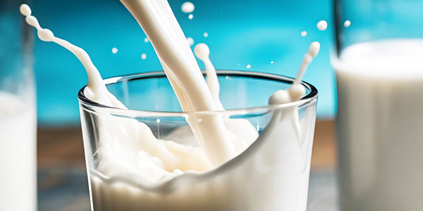 Cow-Free Milk and Kosher Certification