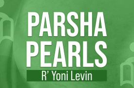 Parsha Pearls by Rabbi Yoni Levin