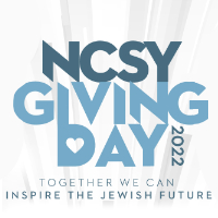 2 Days 2 Give: Inspire the Jewish Future