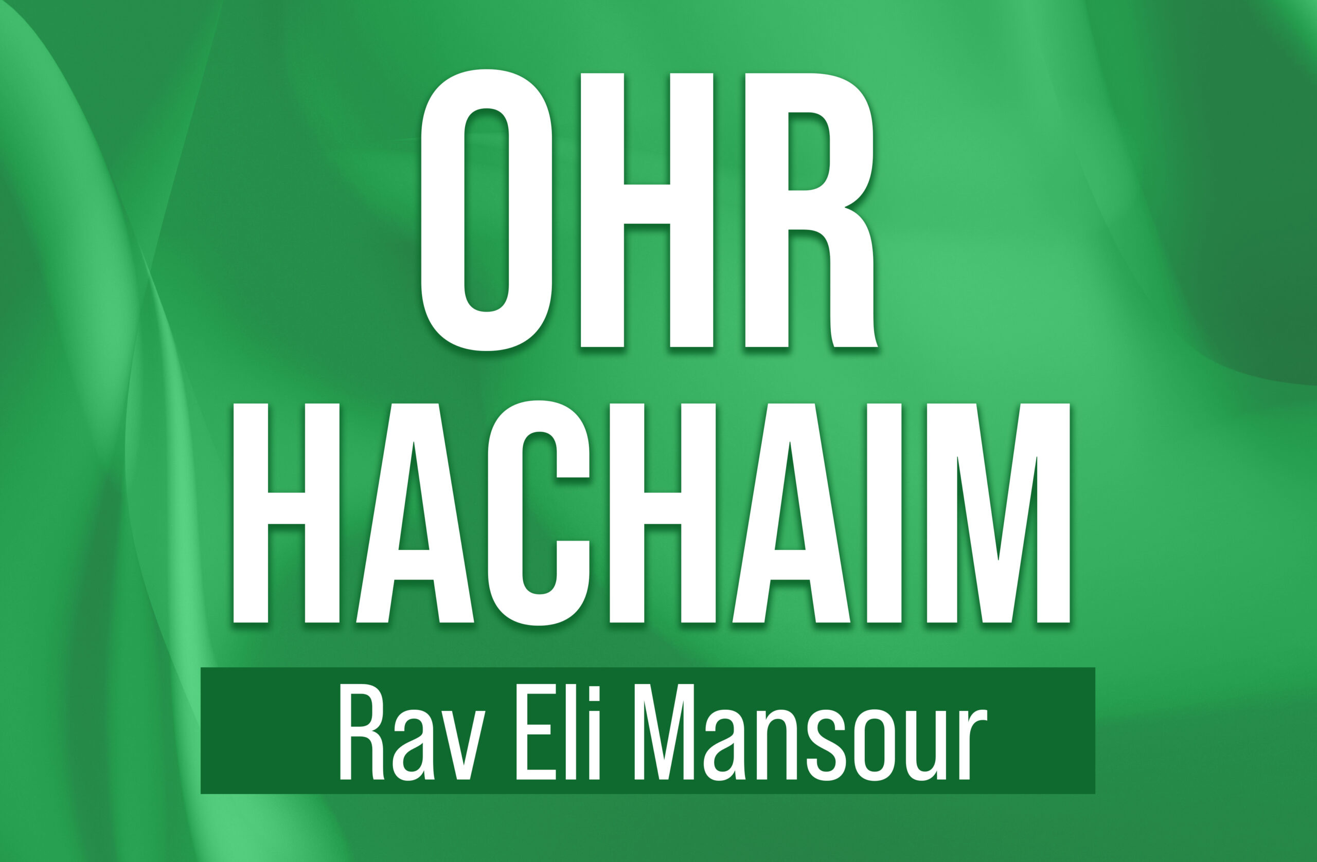 Ohr HaChaim by Rav Eli Mansour