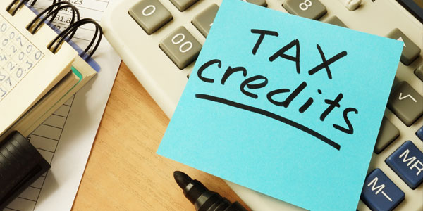 NY Blazes Trail on Scholarships