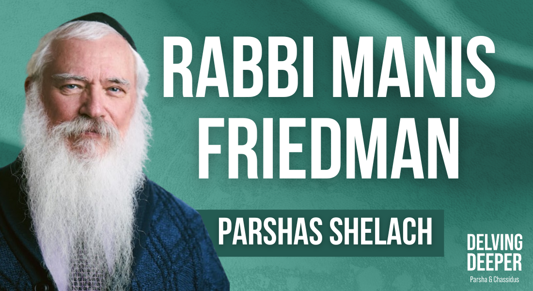 NEW! Delving Deeper on All Parsha! 